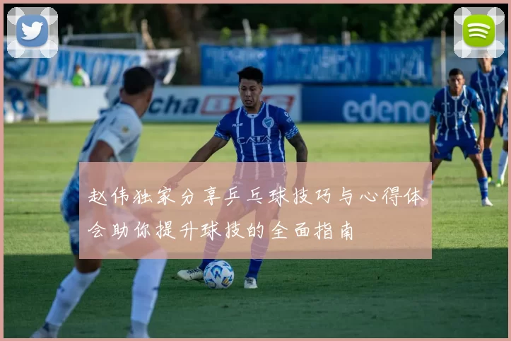 赵伟独家分享乒乓球技巧与心得体会助你提升球技的全面指南
