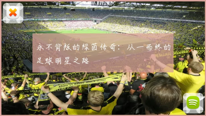 永不背叛的绿茵传奇：从一而终的足球明星之路